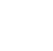 A white silhouette of a bird of prey above the word "talon" on a light gray background.